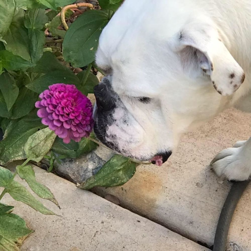 Meet your Posher, Donatella